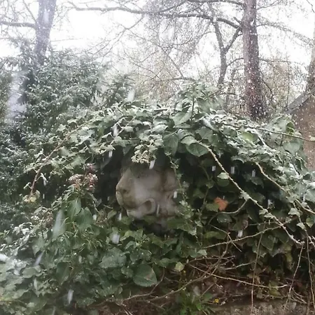 Гостевой дом Schloss Ruhethal 3*